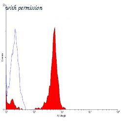 OriGene SM1074F image 1