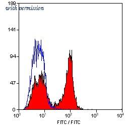 OriGene SM1087PT image 1