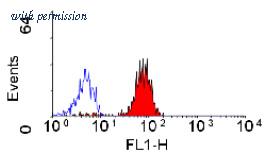 OriGene SM1092BT image 1