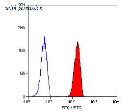 OriGene SM1092FT image 1