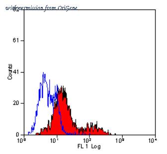 OriGene SM1097P image 1