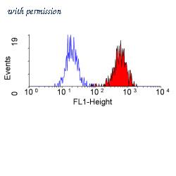 OriGene SM1097PS image 1
