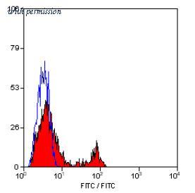 OriGene SM1102F image 1