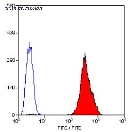OriGene SM1104F image 1