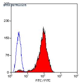 OriGene SM1105B image 1