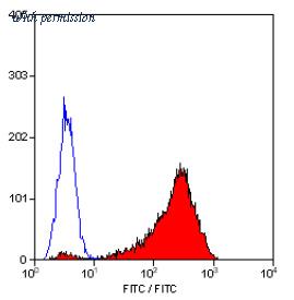 OriGene SM1105P image 1