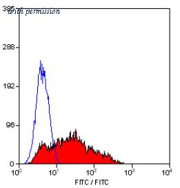 OriGene SM1106A image 1