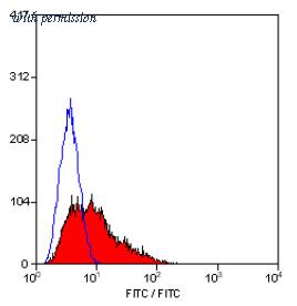 OriGene SM1106B image 1