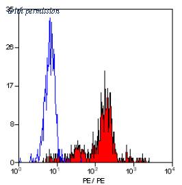 OriGene SM1106R image 1