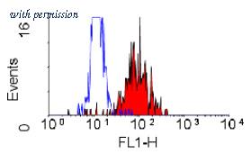 OriGene SM1125P image 1