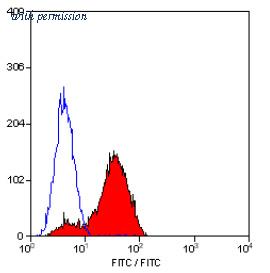 OriGene SM1129P image 1