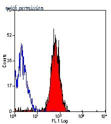 OriGene SM1134P image 1