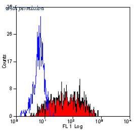 OriGene SM1140P image 1
