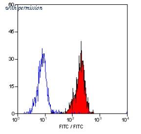 OriGene SM1141P image 1