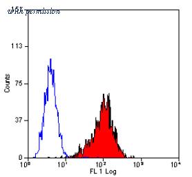 OriGene SM1141PS image 1