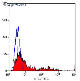 OriGene SM1143F image 1