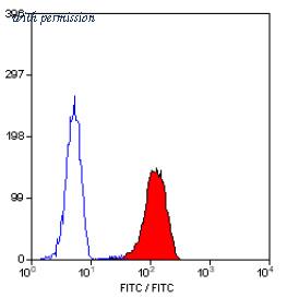 OriGene SM1149F image 1