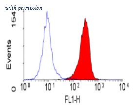 OriGene SM1155P image 1