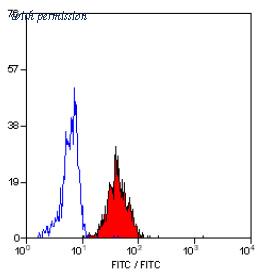 OriGene SM1156F image 1