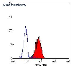OriGene SM1156P image 1