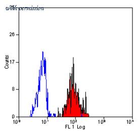OriGene SM1156PT image 1