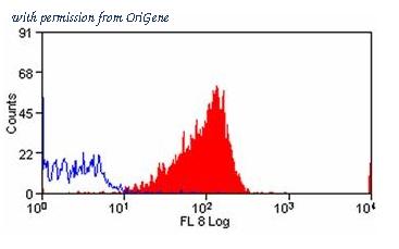 OriGene SM1174APC image 1