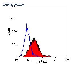 OriGene SM1177F image 1