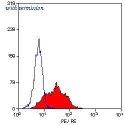 OriGene SM1177R image 1