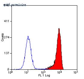 OriGene SM1182P image 1