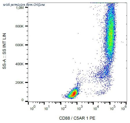 OriGene SM1182R image 1