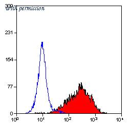OriGene SM1214P image 1