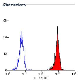 OriGene SM1222B image 1