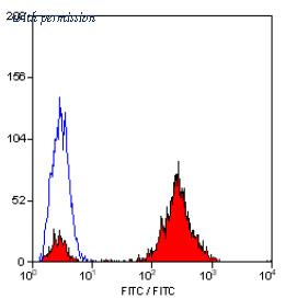 OriGene SM1222F image 1