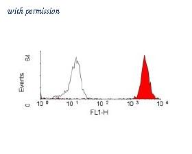 OriGene SM1222LE image 1