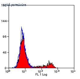 OriGene SM1326F image 1