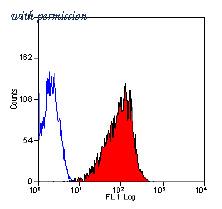 OriGene SM1334F image 1