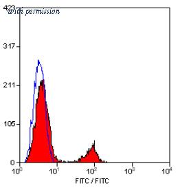 OriGene SM1529F image 1