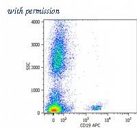 OriGene SM1529PS image 1