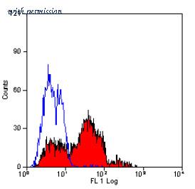 OriGene SM1530PT image 1
