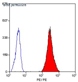 OriGene SM1530RT image 1