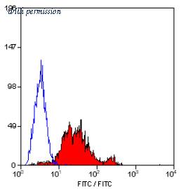 OriGene SM1578F image 1