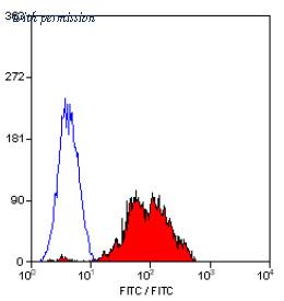 OriGene SM1578PT image 1