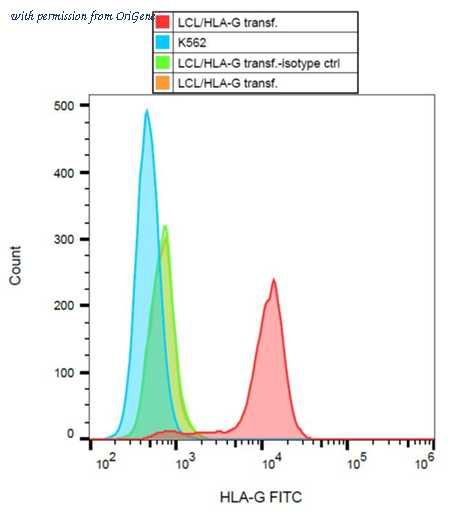 OriGene SM1592AS image 1