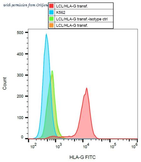 OriGene SM1592F image 1