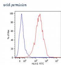 OriGene SM1593F image 1