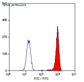 OriGene SM1666P image 1