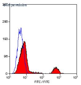 OriGene SM1676P image 1