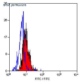 OriGene SM1677FT image 1