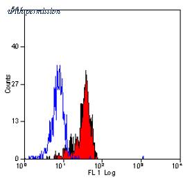 OriGene SM1677LE image 1
