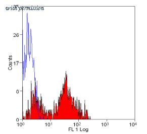 OriGene SM1693F image 1
